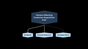 Factors affecting customer acquisition cost 